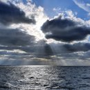 의료법인 한길의료재단 이미지