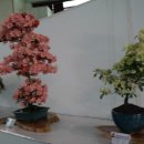 호암체육관 이미지