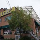 국대오리 이미지