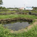 삼달1리 이미지