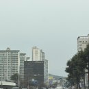 메르디앙 | 대구 웨딩메르디앙 하객 후기