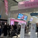 애니아트 | 베이비페어 상담 후 결정한 애니 스튜디오 본아트 촬영 후기