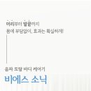 비에스렌탈