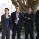 레드존&포멧 이미지