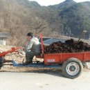 노을한우농장 이미지