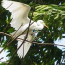 권율대로 이미지