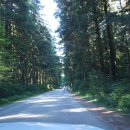 개나리공원 건너편 이미지