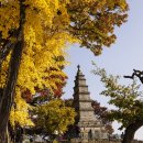 경기둘레길 여주34코스 이미지
