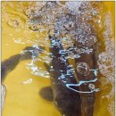 민물건강원 이미지