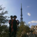 용현동물텀벙이거리 이미지