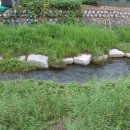 충효어린이공원 이미지