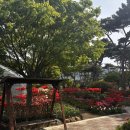 <서산> 서산 카페추천, ‘Cafe, 쉼이있는정원’, 막 찍어도 인생샷! 꽃향기 가득한 동화 속 비밀 정원 리뷰