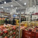 엔비(Envy) | [과일/코스트코] "코스트코 사과" 엔비사과 Envy사과 질투사과 후기 #내돈내산