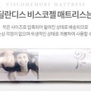 딜란디스