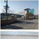 (주)금산인삼주 Daum카페