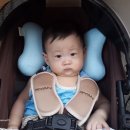 다사상회 이미지