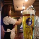 비어(Beer)1589 이미지