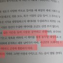 이레시스템 이미지
