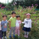 호원승리어린이집 이미지