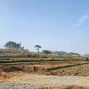 동부농기계임대사업소 | 영암군 농기계 임대 동부사업소 9월 운영 목표로 신축공사 순조