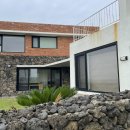 제주애아리 이미지