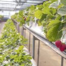 세세농장 이미지