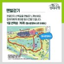 자연마주