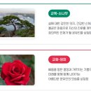 운유고등학교 | (일반고) 운유고등학교 2025 신입생 입학안내, 학교안내