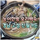 부영농장 | 능이오리백숙 맛집 신월가든 경남 고성 백숙 현지인 추천 가성비 식당