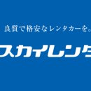 스카이렌트카 이미지