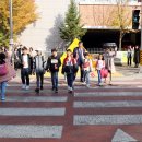 옐로카펫 이미지