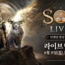솔은
