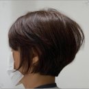 벨루스 헤어 이미지