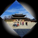 종로-연건-종로-연-007 | [서울 종로구] 궁궐 투어Ⅰ: 창덕궁 (昌德宮) - 4