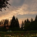 양대목장 이미지