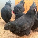 아성슈퍼 이미지