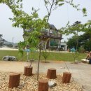 그린별장 이미지