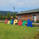 pet323너6810 | 가평 애견동반 수동 레일바이크 펫바이크 솔직 후기!