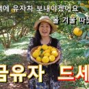 꽃담농원 이미지