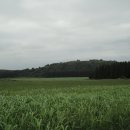 수일목장 이미지