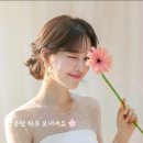 Le reste / Daddy Cool / Maroon5-Sugar / This I Promise You 이미지