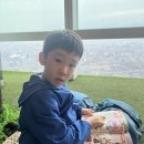 타이베이 101빌딩 방문 후기 | 101빌딩 전망대, 오타니 50호 홈런볼, 댐퍼