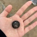 풍양중학교 | 개학준비완