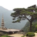 백두세상 이미지