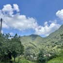 초록언덕펜션 이미지