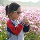 세종영재어린이집 이미지