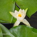 세류주유소 이미지