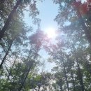 현충탑진입로 이미지