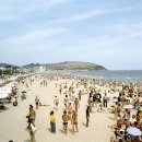 해운대 Daum카페