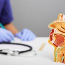 별이비인후과의원 이미지